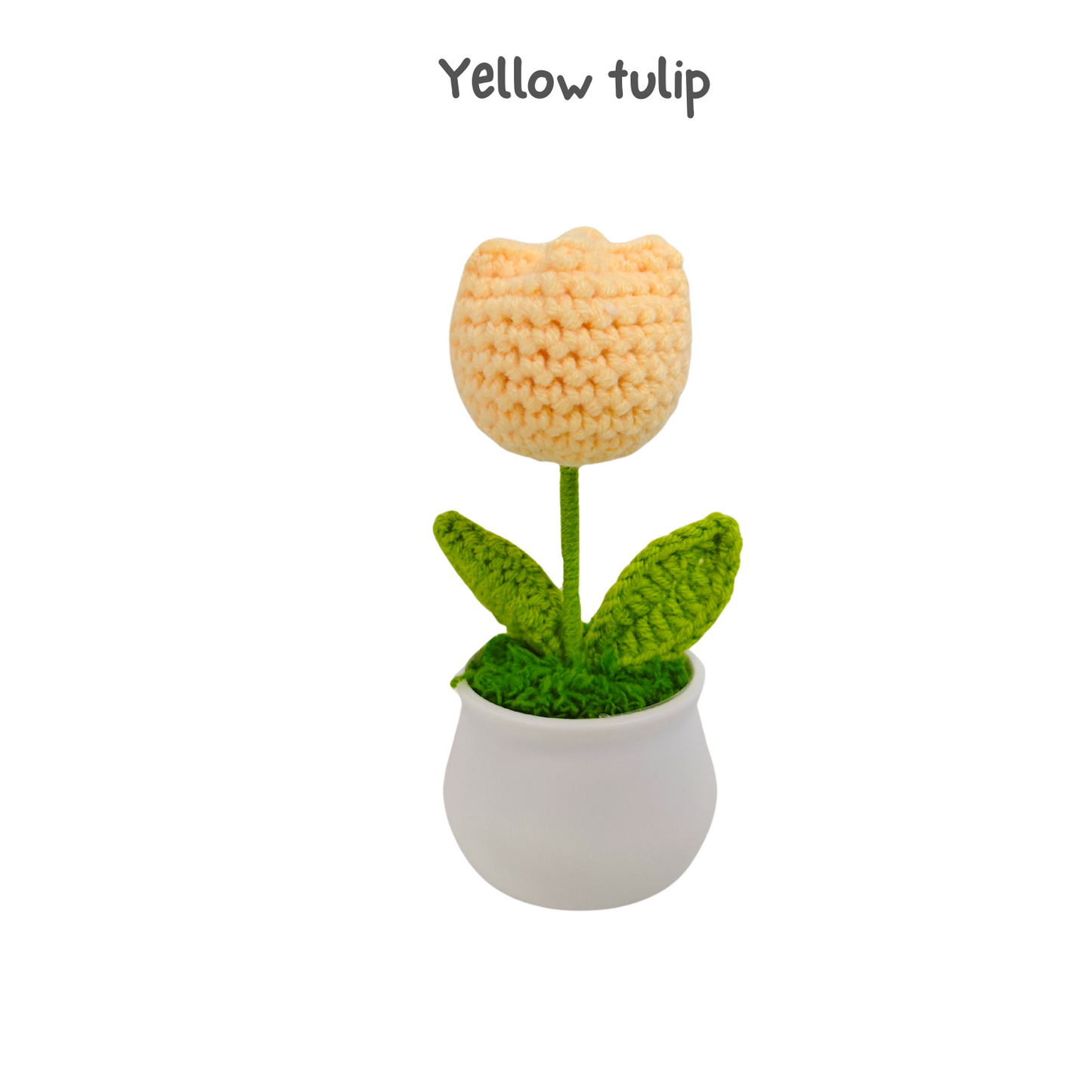 Knitted Crochet Flower Gift Set
